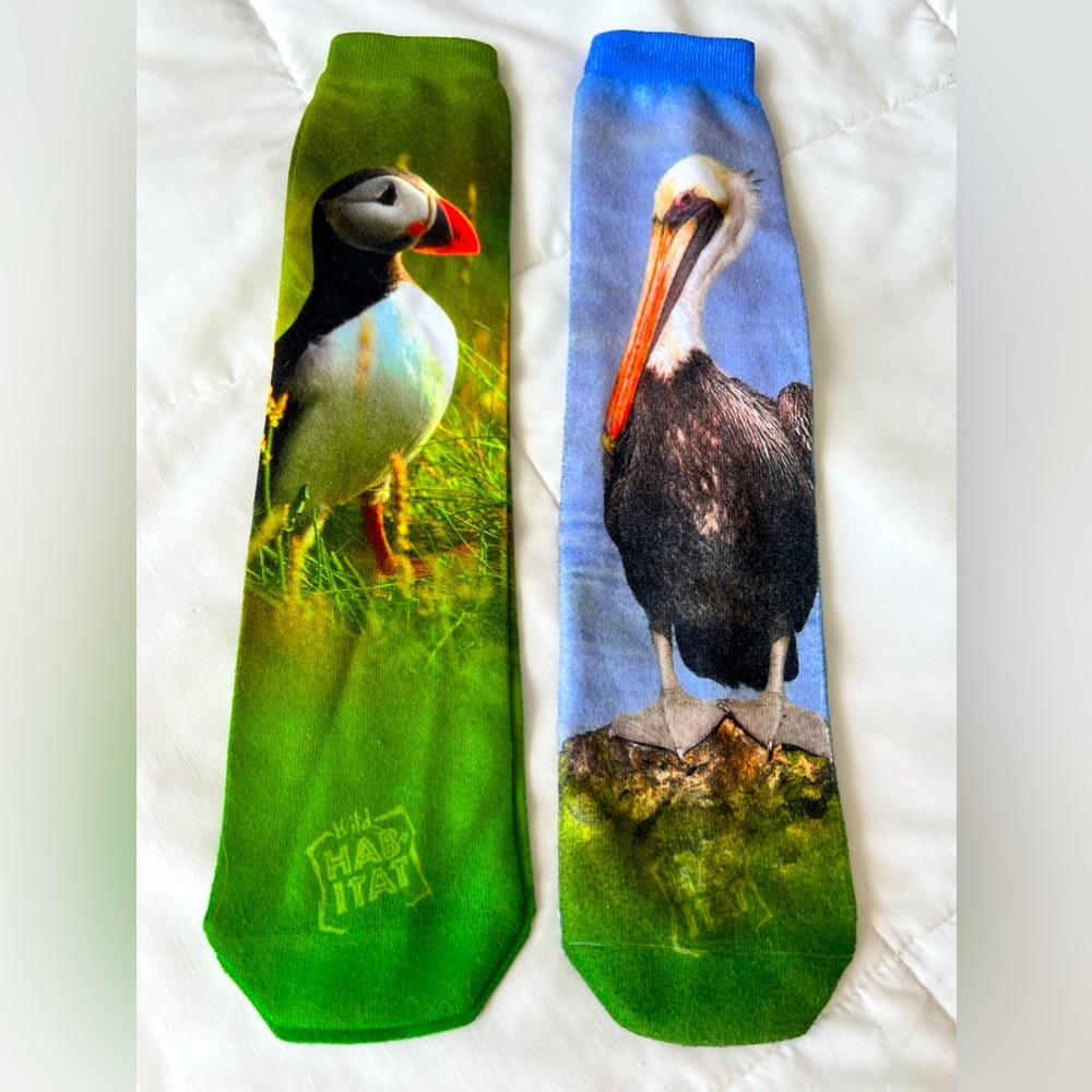 Wild Habitat tall novelty bird socks